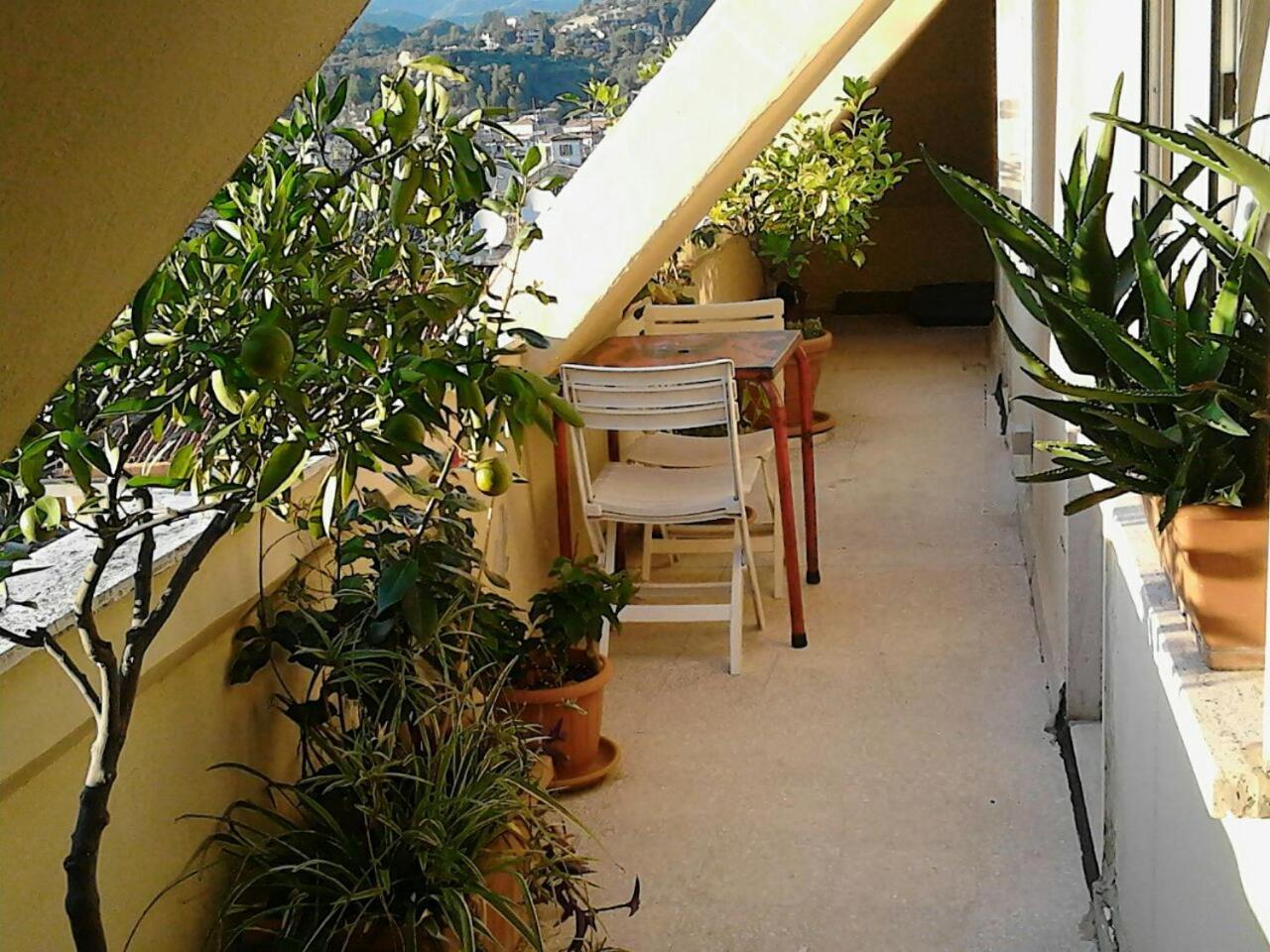 לינה וארוחת בוקר אסקולי פיצ'נו A Casa Di Lola מראה חיצוני תמונה